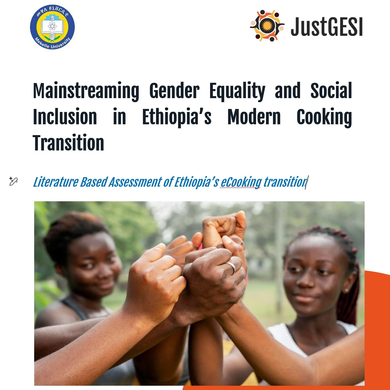 Mainstreaming Gender Equality and Social Inclusion in Ethiopia’s Modern Cooking Transition [Policy Report]