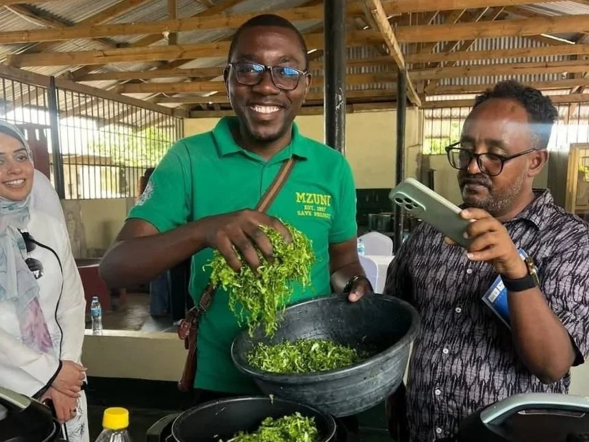Advancing Inclusive and Sustainable eCooking Initiatives: The JustGESI team on a Learning Visit to TaTEDO SESO/SESCOM