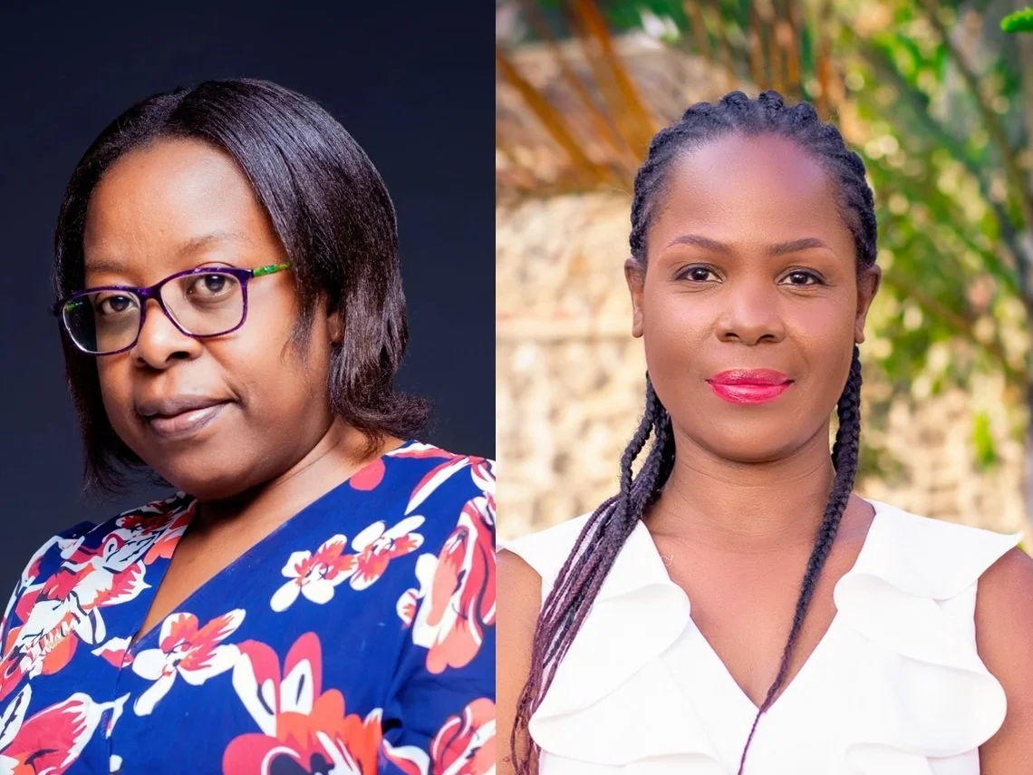 Engaging with Organisations for Institutional Ethnography: Key Lessons from Malawi’s Energy Sector