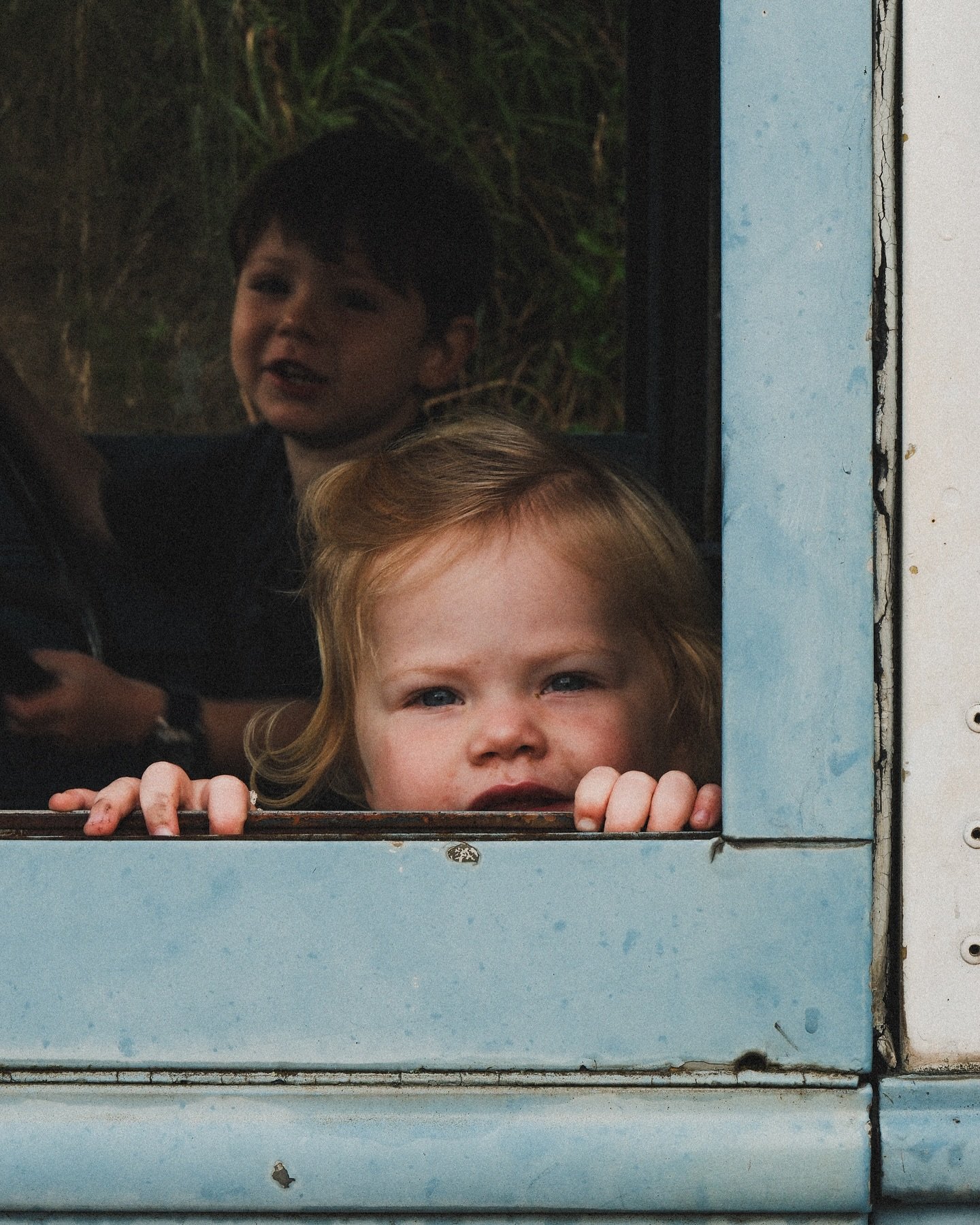 Magical afternoon out here in the hills 🌲