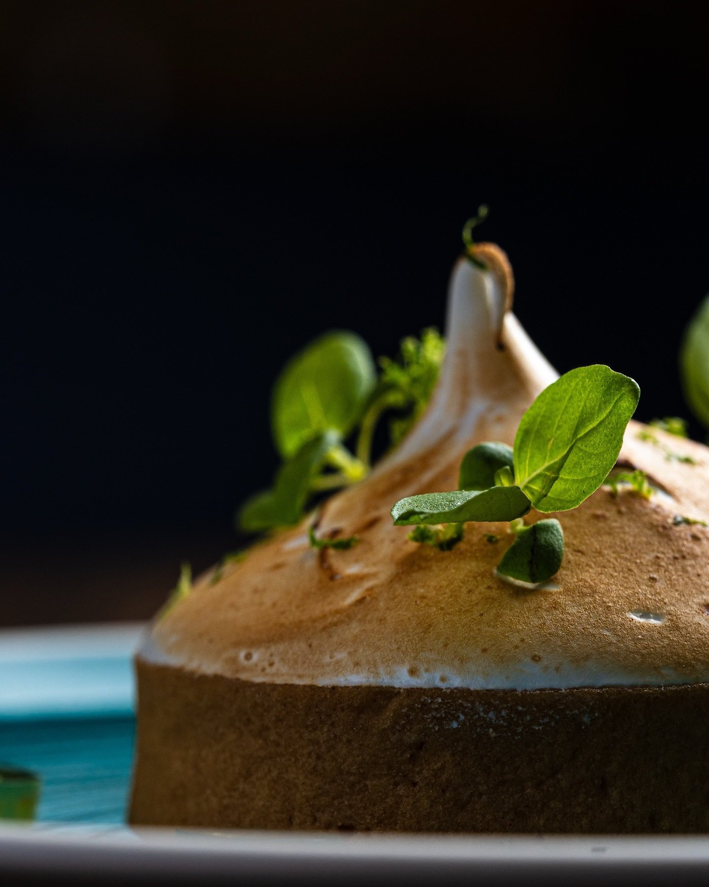 Close up shots for @zoologiehotel 🍛

#food #foodphotography #foodpics #foodphoto