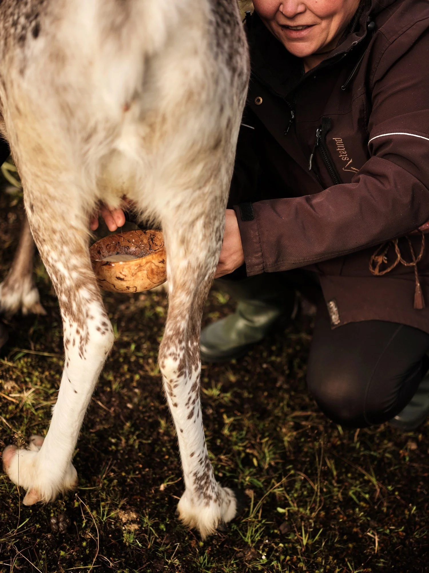 Flock-Liz-Seabrook-food-provenance-chef-photographer-publication-NorthNorway_DSCF0502.jpeg