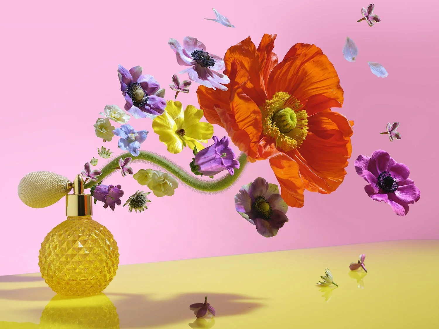 Kellie French - Guardian / Blooming Marvels