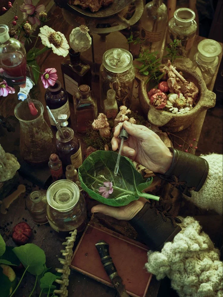 weAreFlock-PhilFisk-allotment-Peyo-alchemist-stilllife-03.jpeg