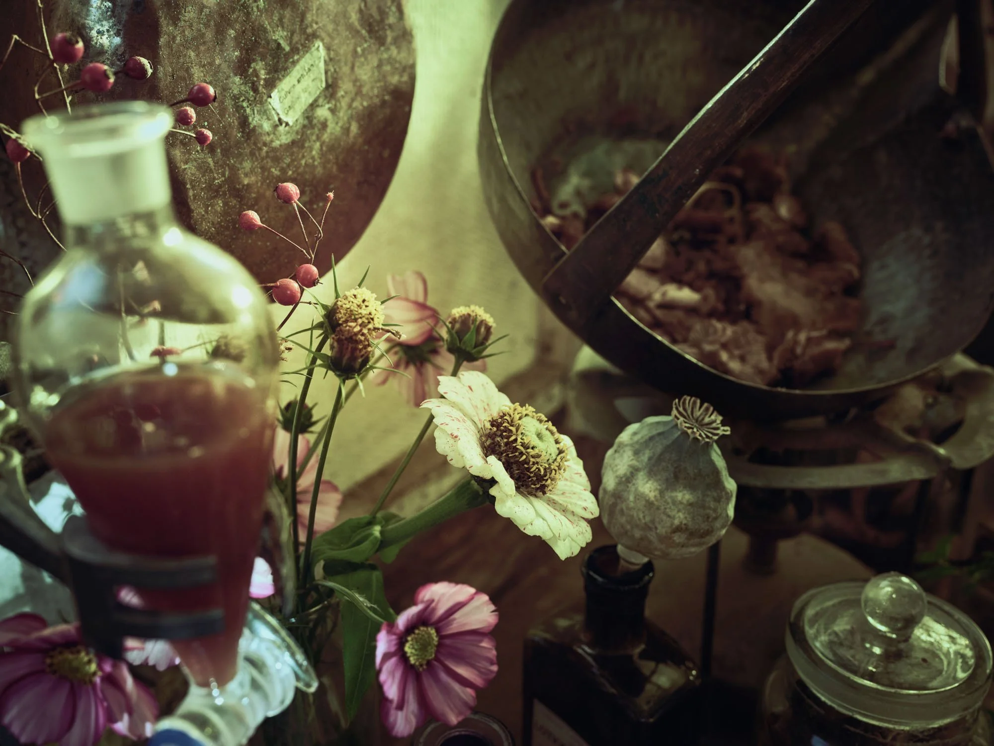 Pedro/Peyo - A personal allotment and gardening photography project by Phil Fisk London photographer