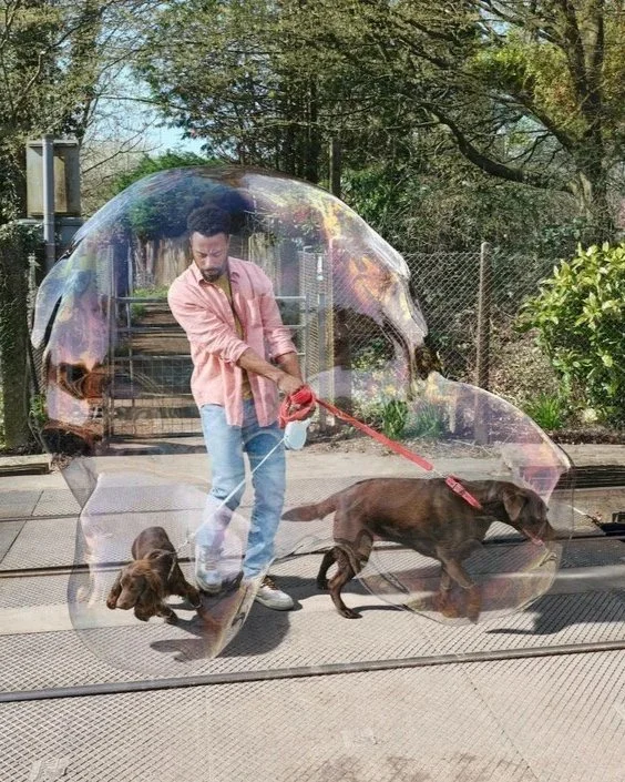 Flock_Joseph_Ford_Network_Rail_Dog_walker_crop.jpg