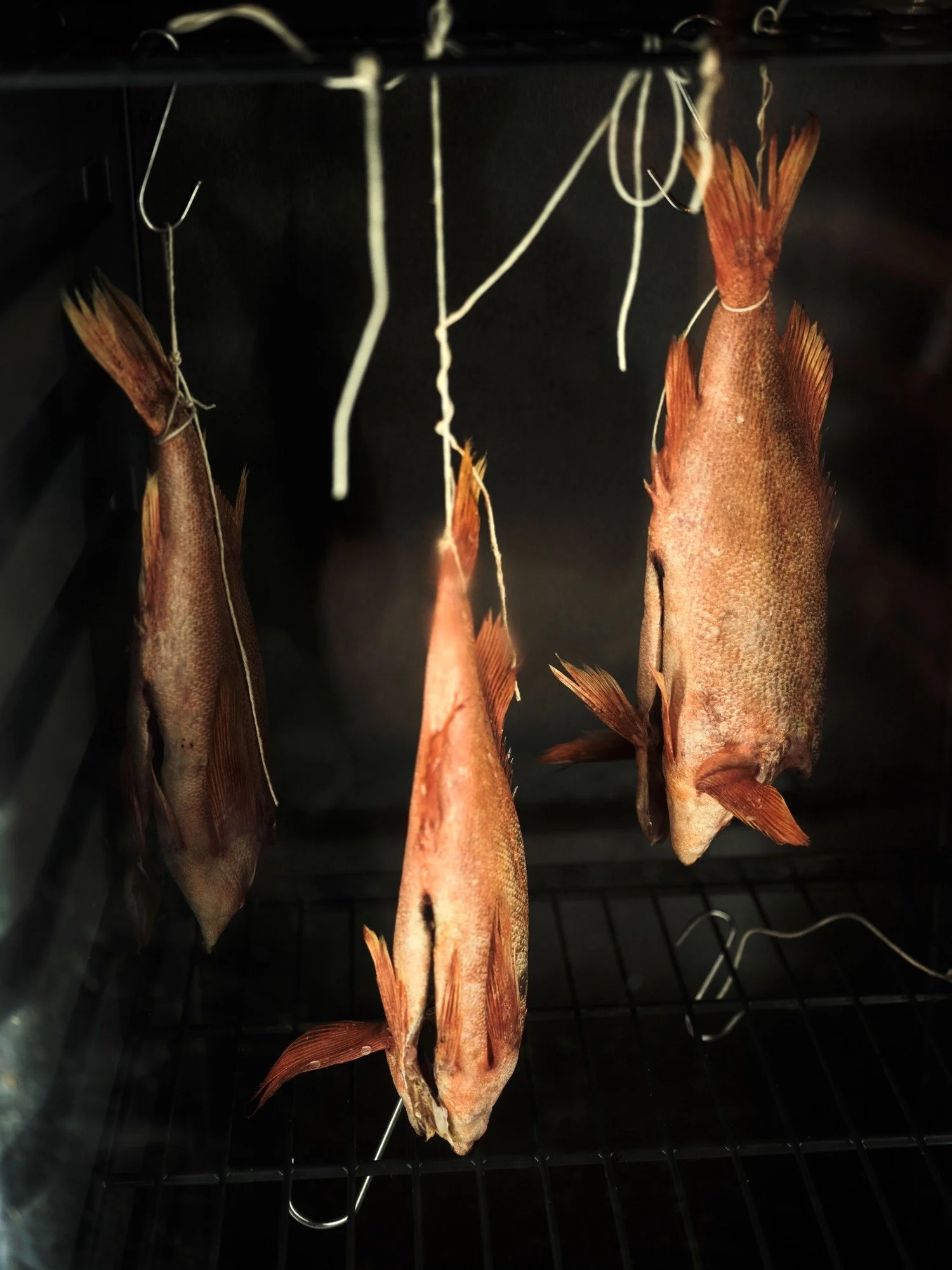 Flock-Liz-Seabrook-food-provenance-chef-photographer-publication-NorthNorway_DSCF0089.jpeg