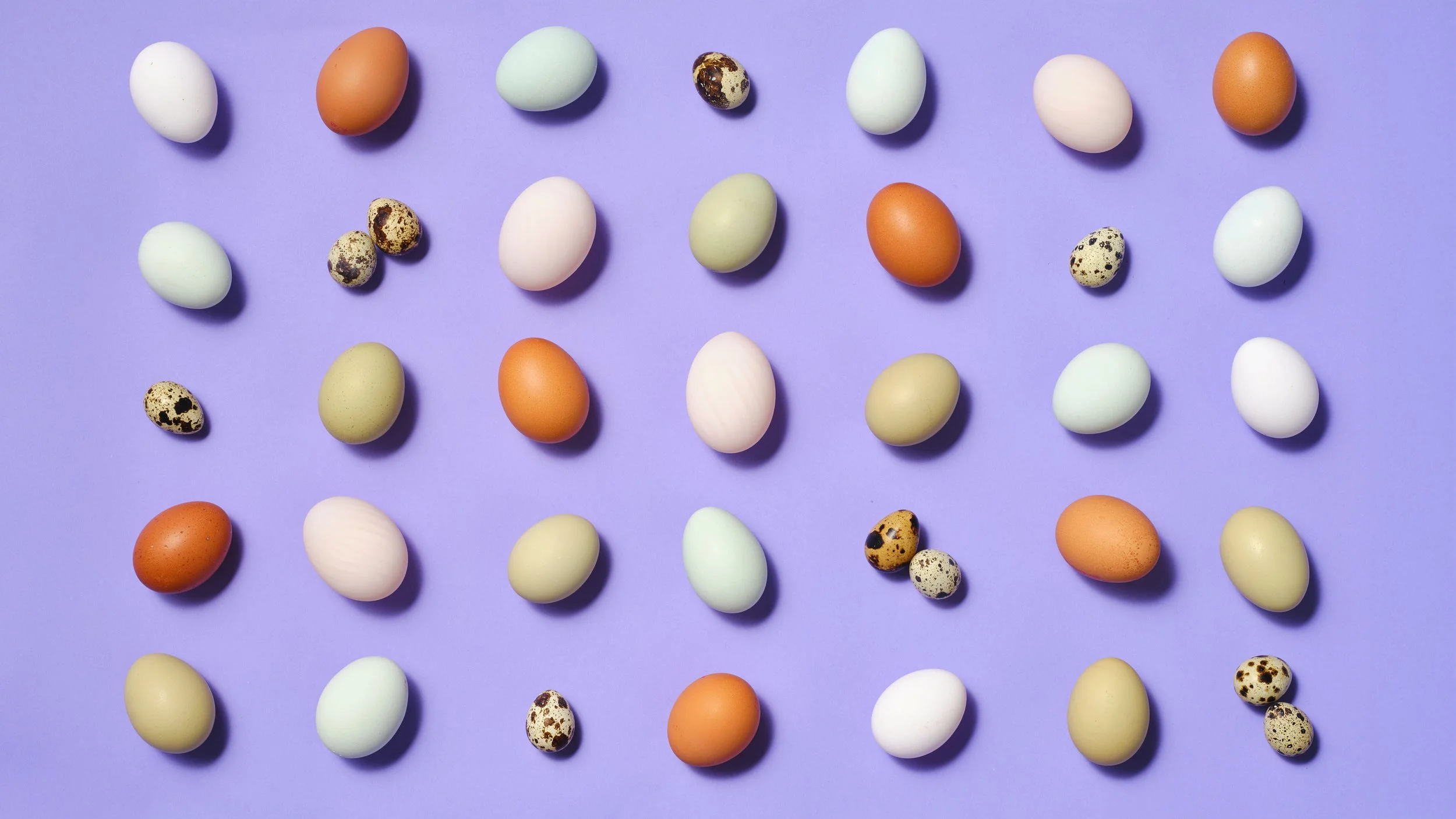 Frankie Turner_Flock_Ocado Eater Campaign_01_P17_Gifting_0026.jpg