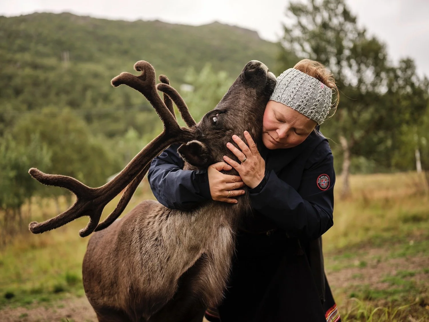 Fare - North Norway