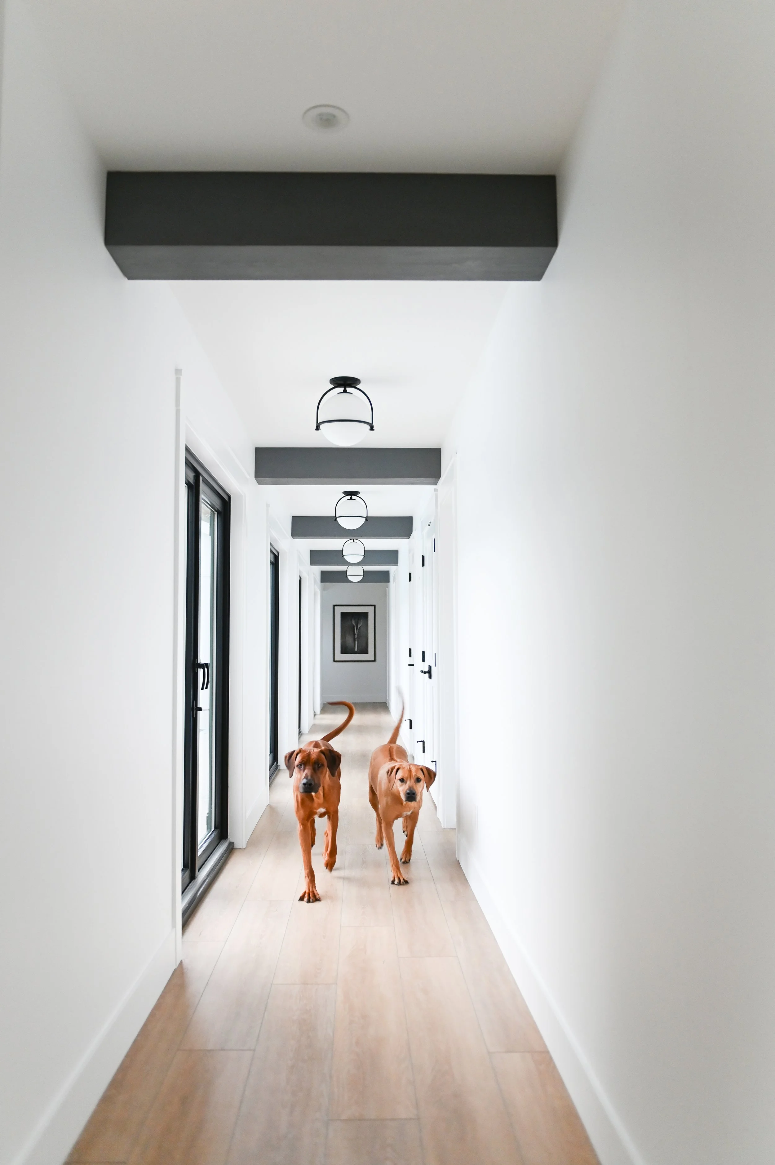 Custom home by WR Contracting in South Delta, BC featuring a modern, bright hallway with wooden floors and dark overhead beams.
