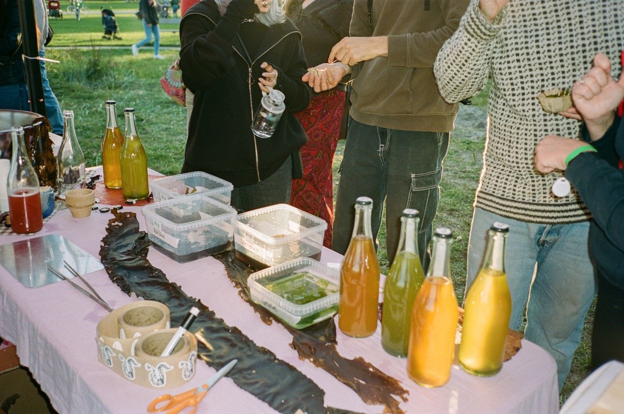 @birgittefleischer-30 Large.jpeg