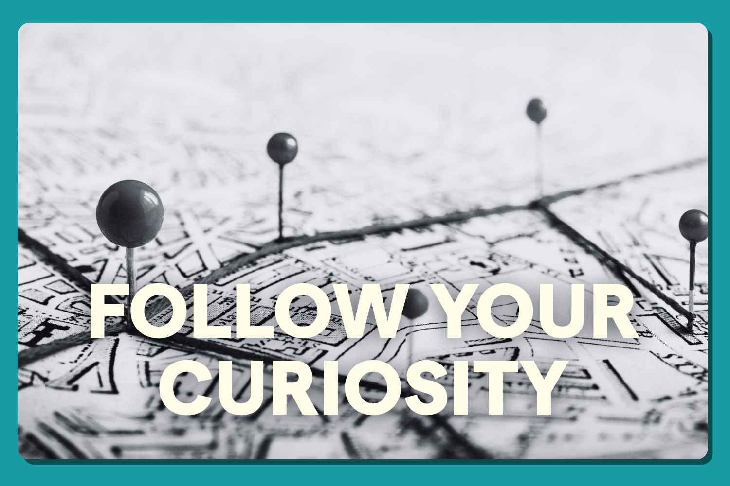 You Don't Need a Plan. You Need Curiosity.