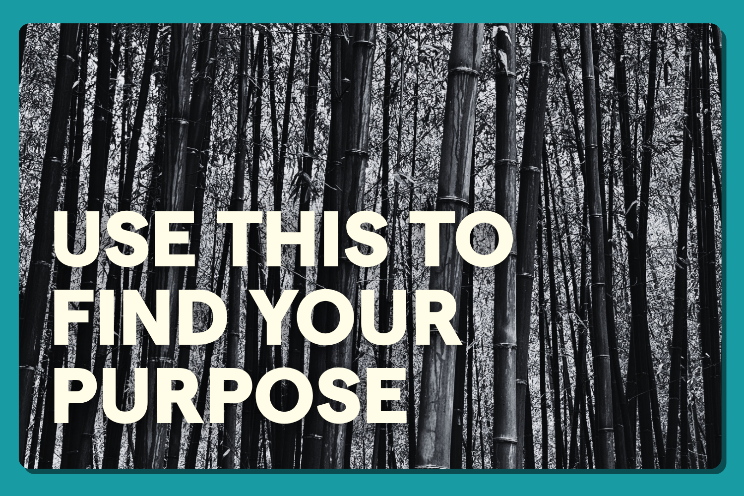 Ikigai - Your Reason for Being