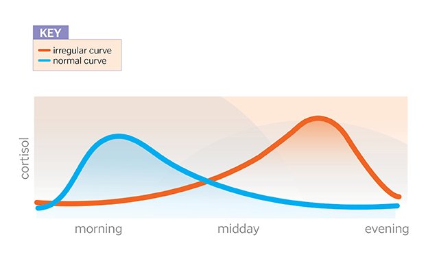 Graph showing normal cortisol peak in the morning and a dsyregulated cortisol peak in the evening