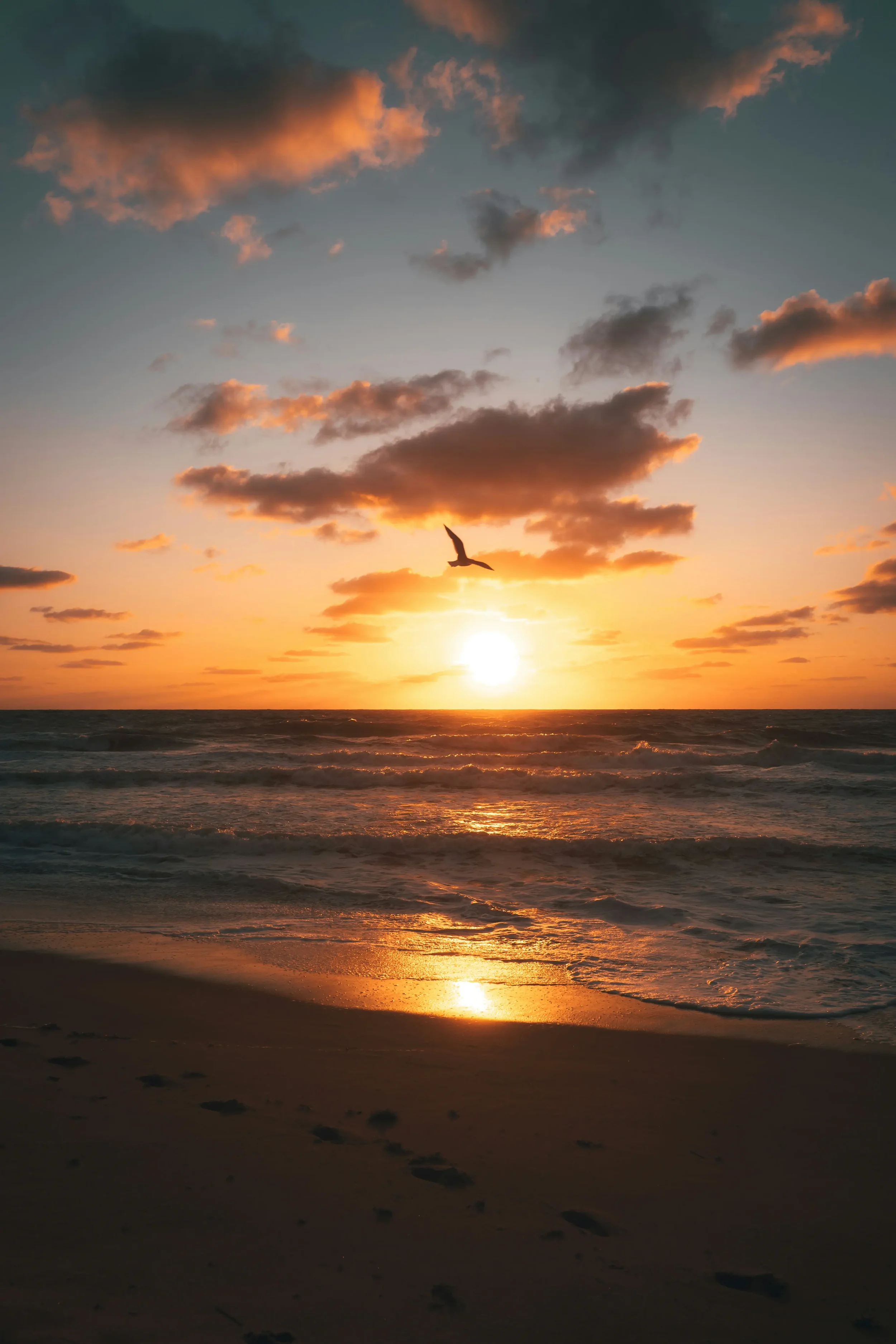 Beach sunset Journi.webp