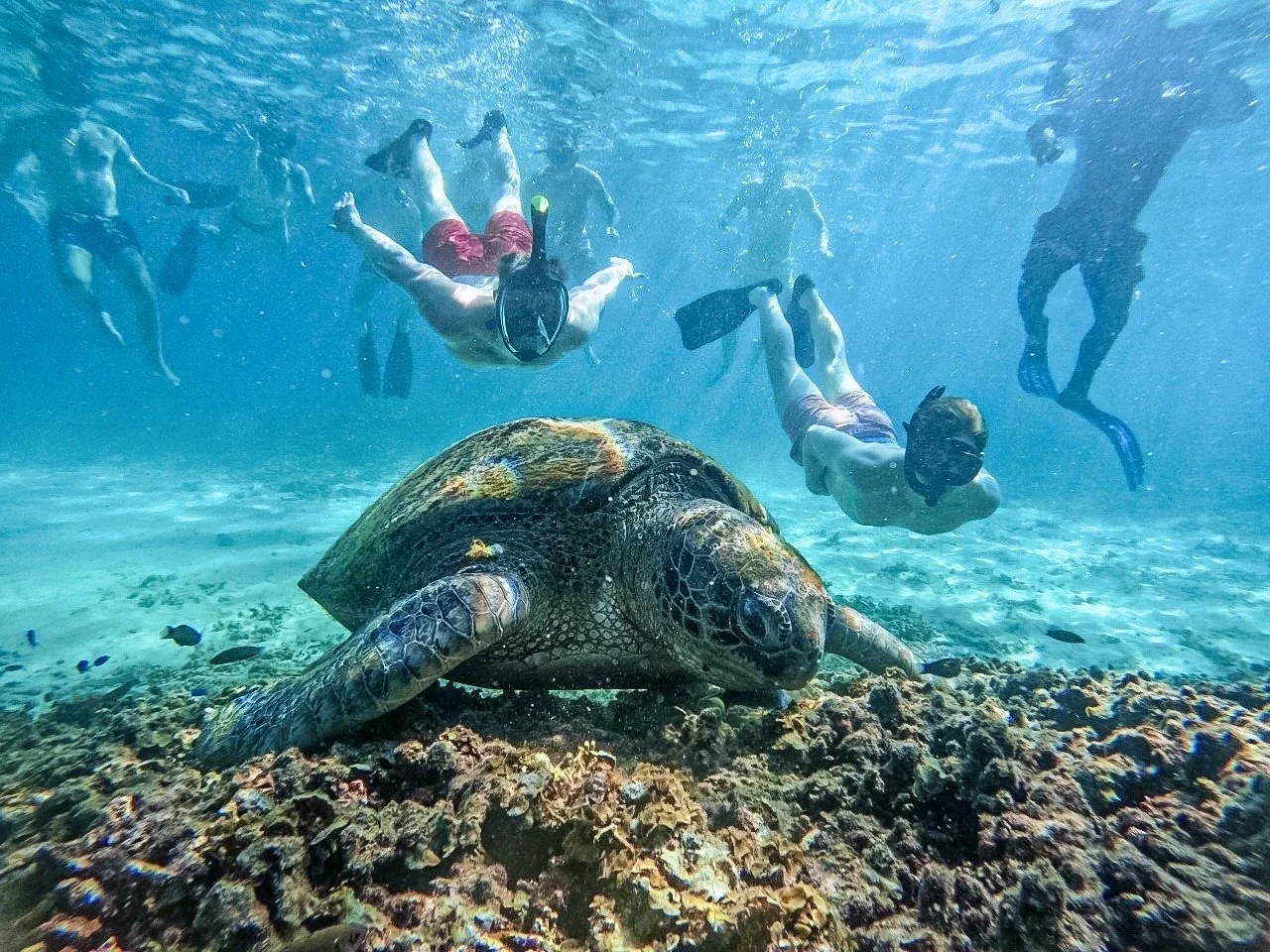 Koh Nangyuan.jpeg