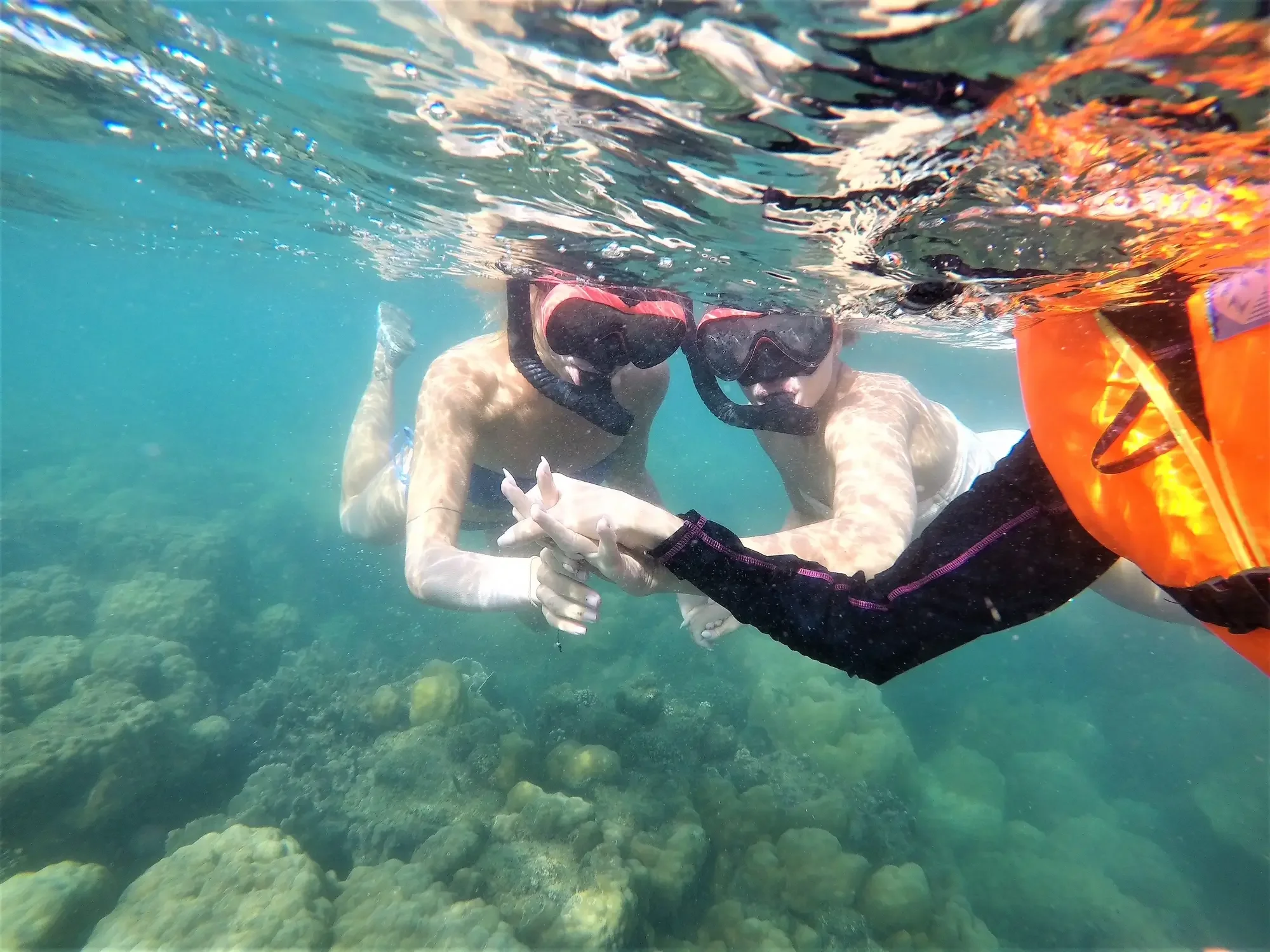 Snorkel Tour 2.webp