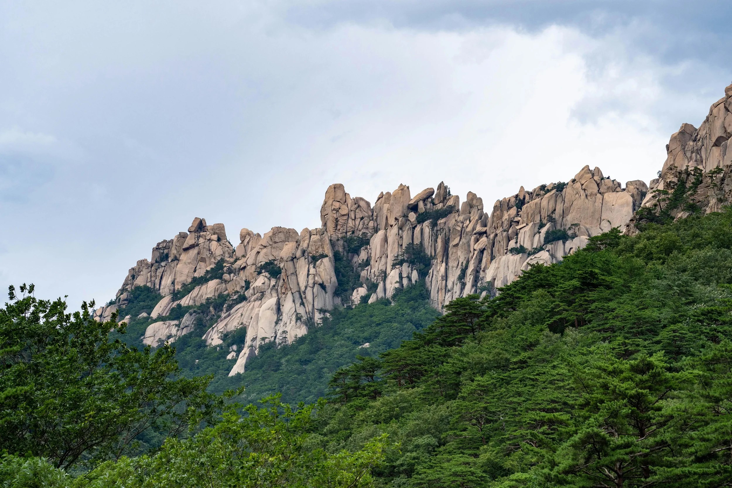 Rocky mountain range with trees in the foreground under a cloudy sky.