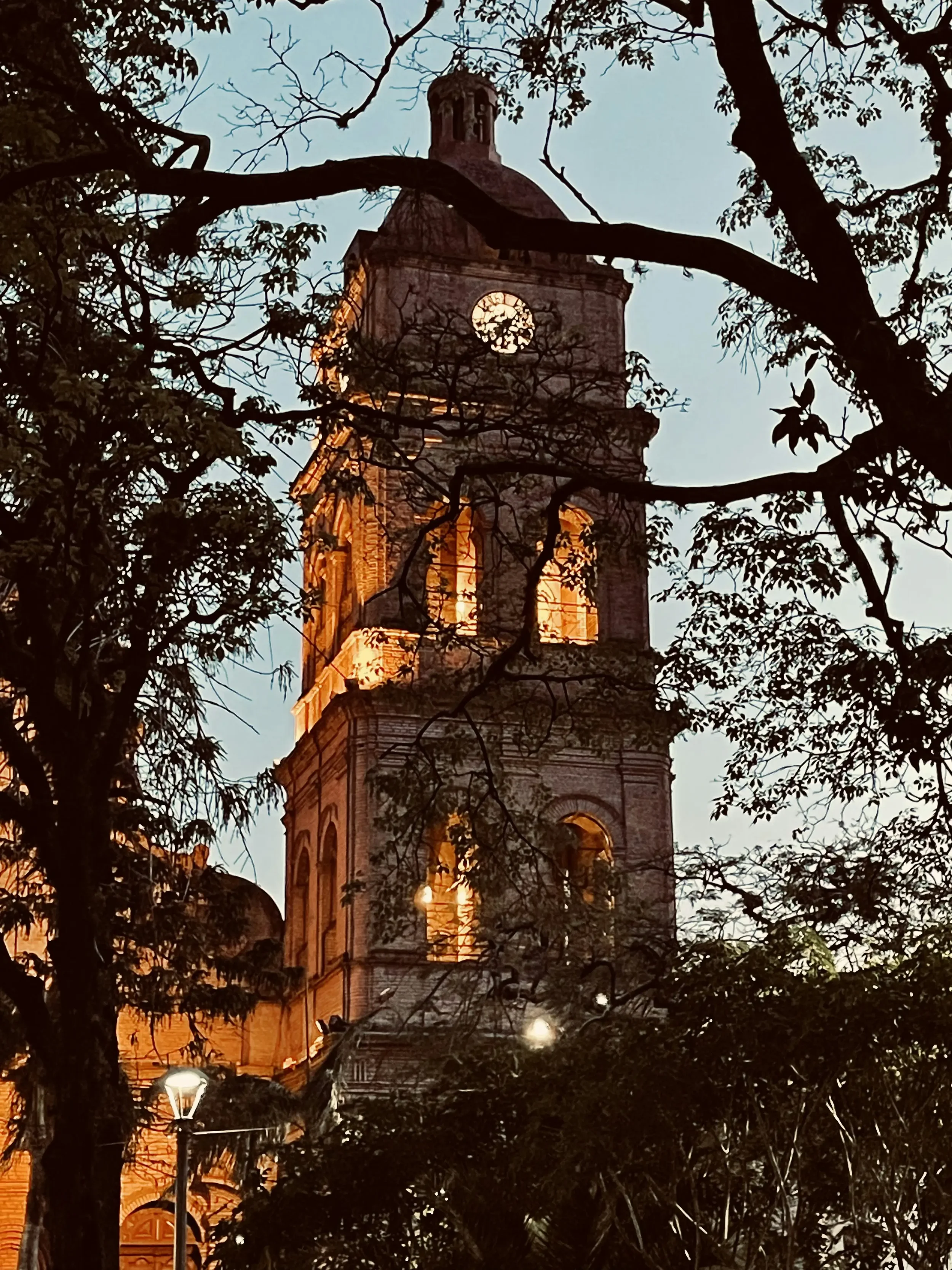 Santa Cruz JourniCard.webp