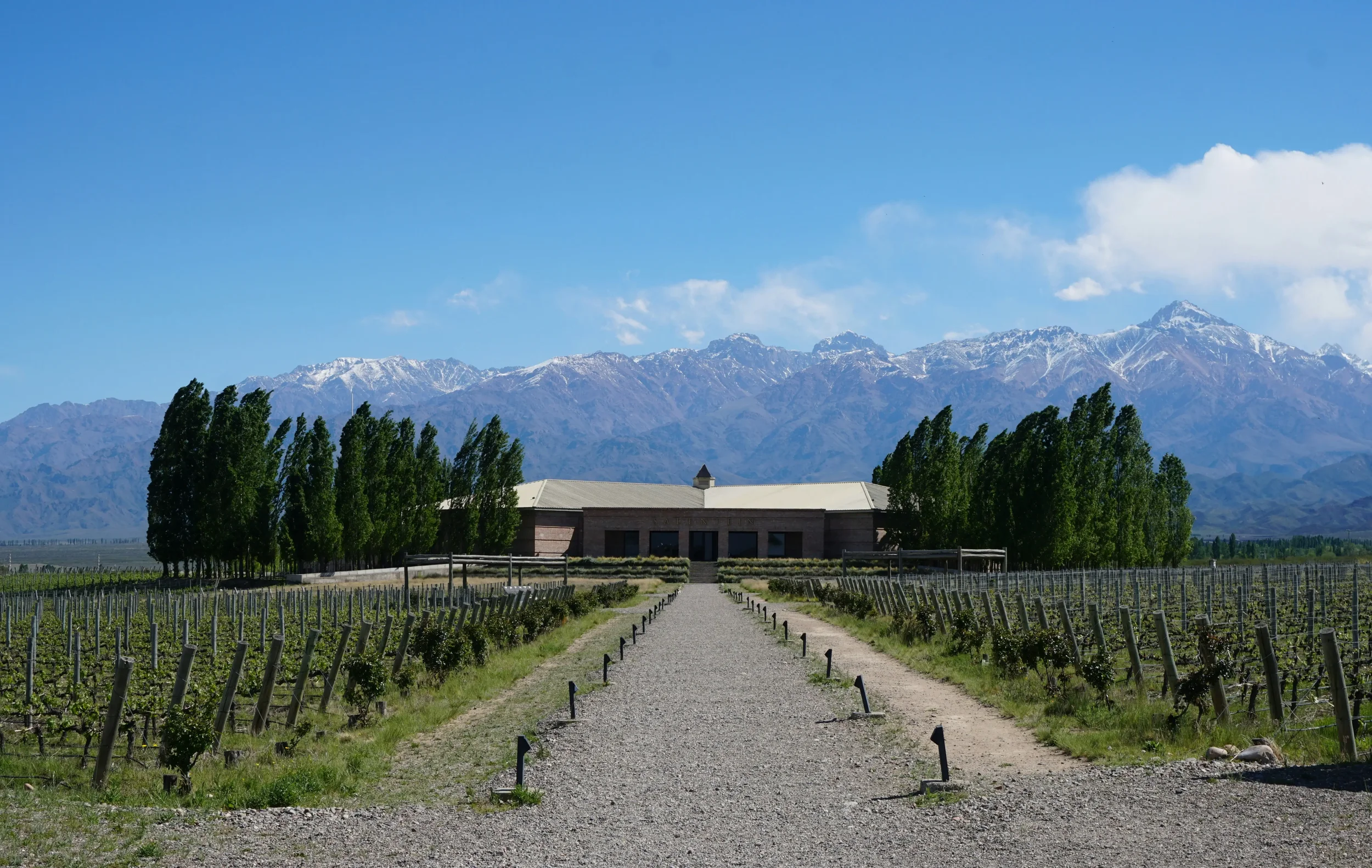 Mendoza JourniCard.webp