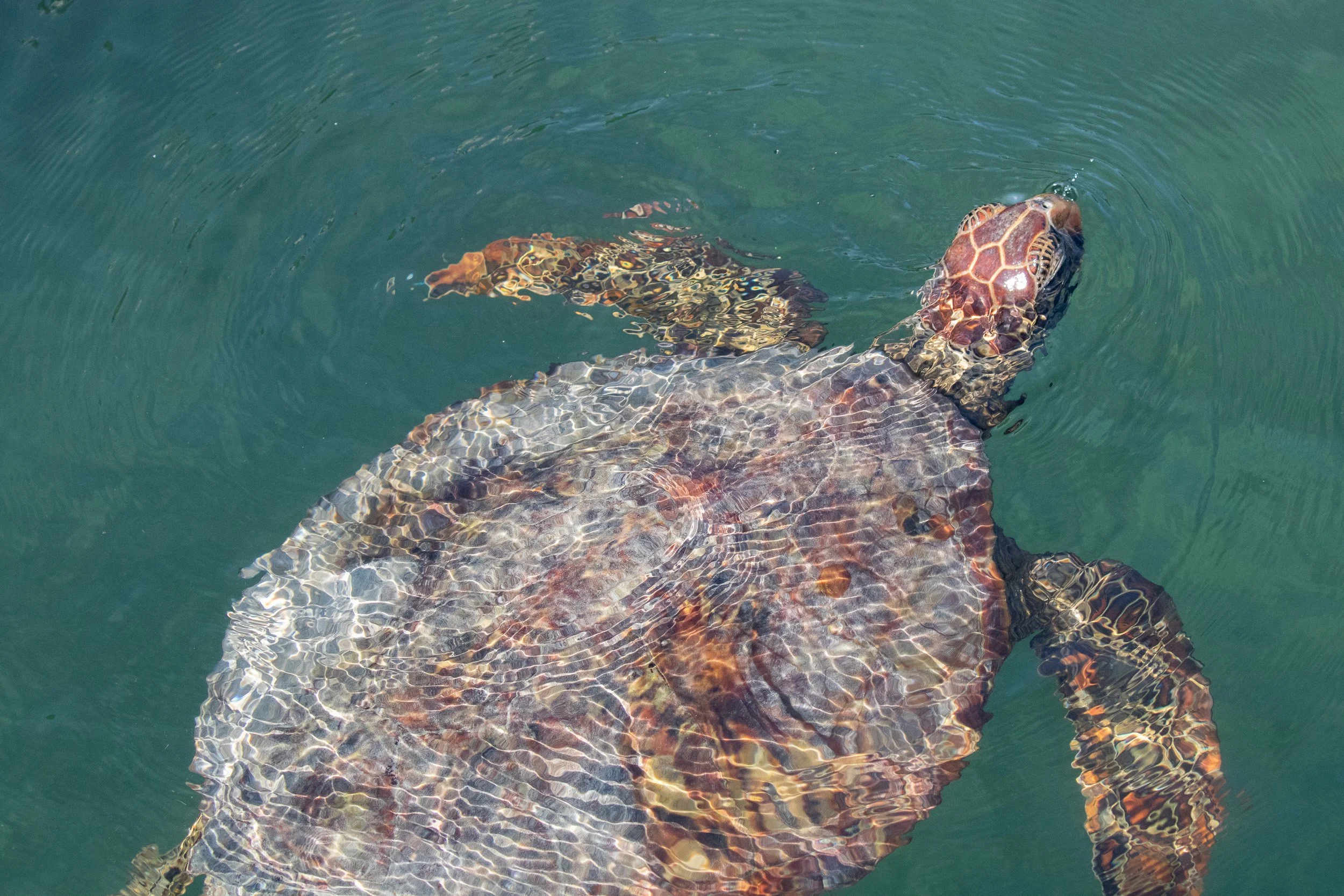 _MG_0328.jpg
