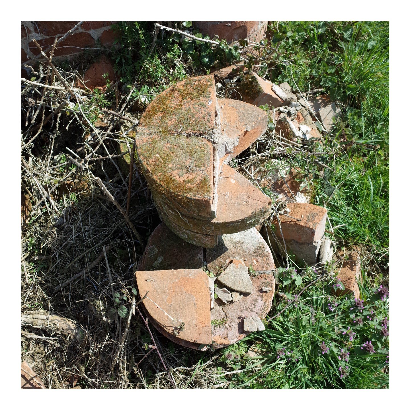 Back to our sunny site visits ☀️ 

For this month&rsquo;s #brickofthemonth we&rsquo;re celebrating these elegant quarter-circle bricks, designed to form cattle shed columns without corners &mdash; a clever historic detail to prevent rubbing and slow 