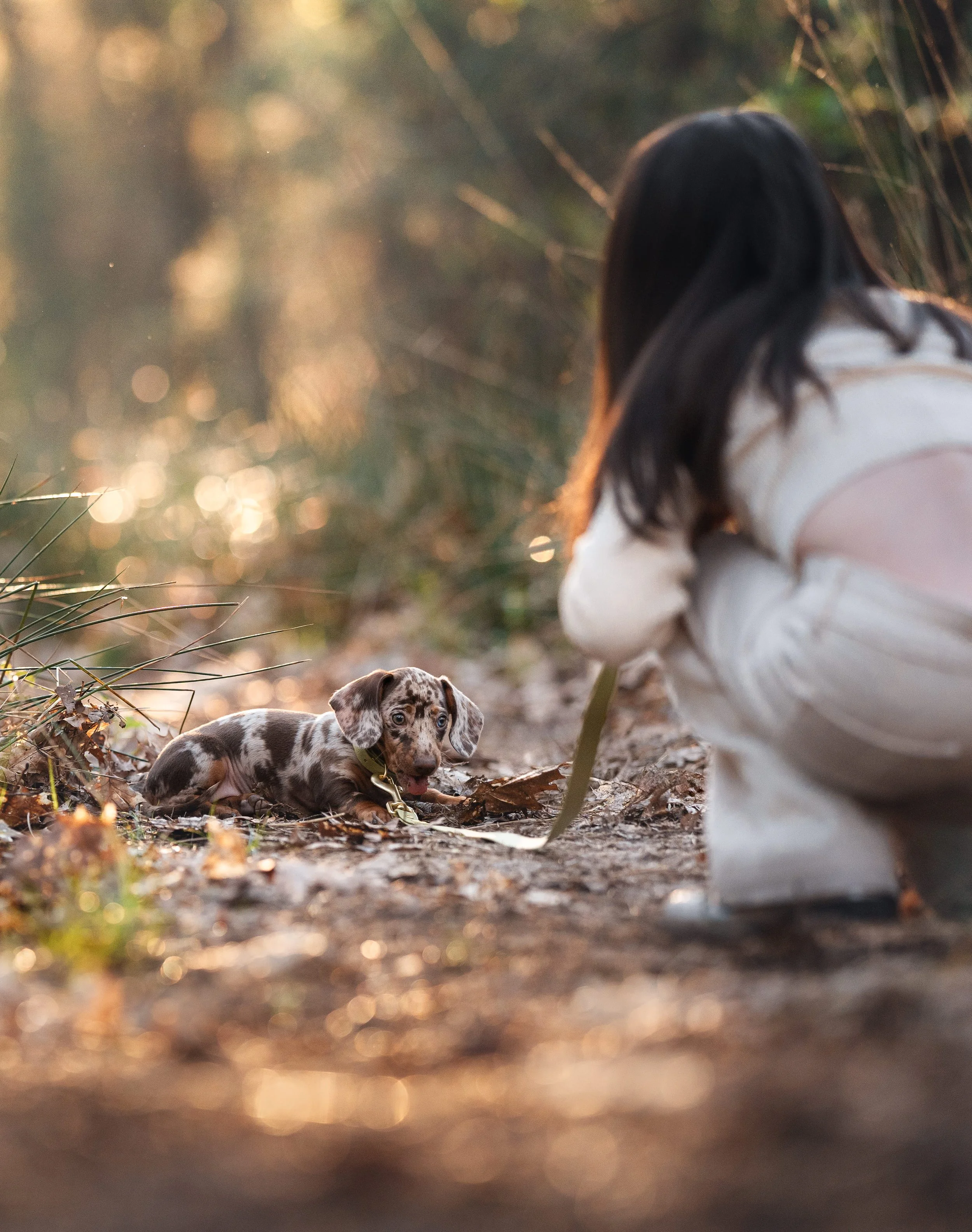 Een klein, merle kleurtje dachshund puppy ligt op de grond in een bosomgeving met bladeren en gras, terwijl een persoon met donkere haar en een spijkerjasje over de schouders naast de puppy zit.