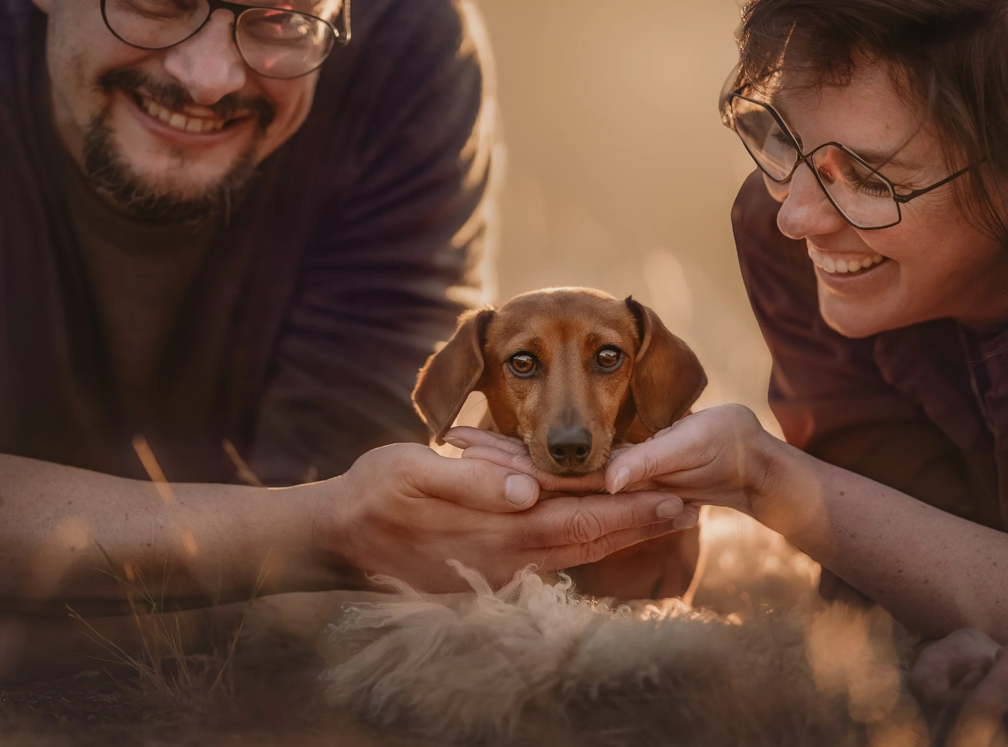 Fotoshoot met teckel en twee eigenaren op de heide tijdens zonsondergang met warm golden hour licht.