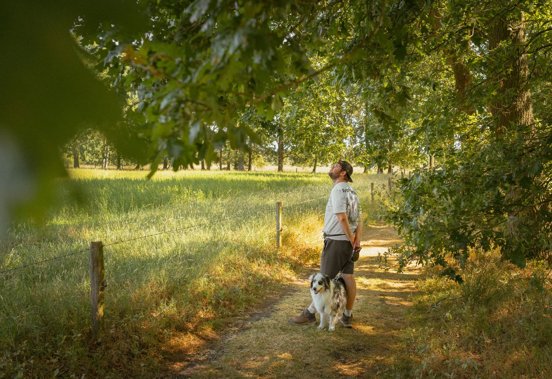 Oude bomen met bijzondere texturen tijdens een wandeling op de Kampina