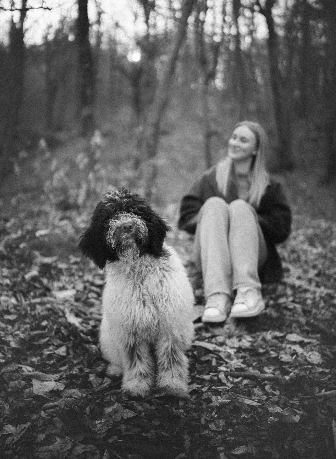 Een vrouw zit op de grond in een bos met bladeren, achter haar ligt een grote poes en voor haar staat een grote, witte en zwarte hond. De foto is in zwart-wit.