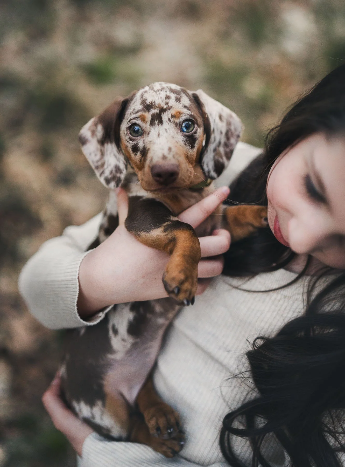 Een meisje houdt een merle merle tekkel pup in haar armen. Het meisje draagt een beige trui en heeft zwarte haar.