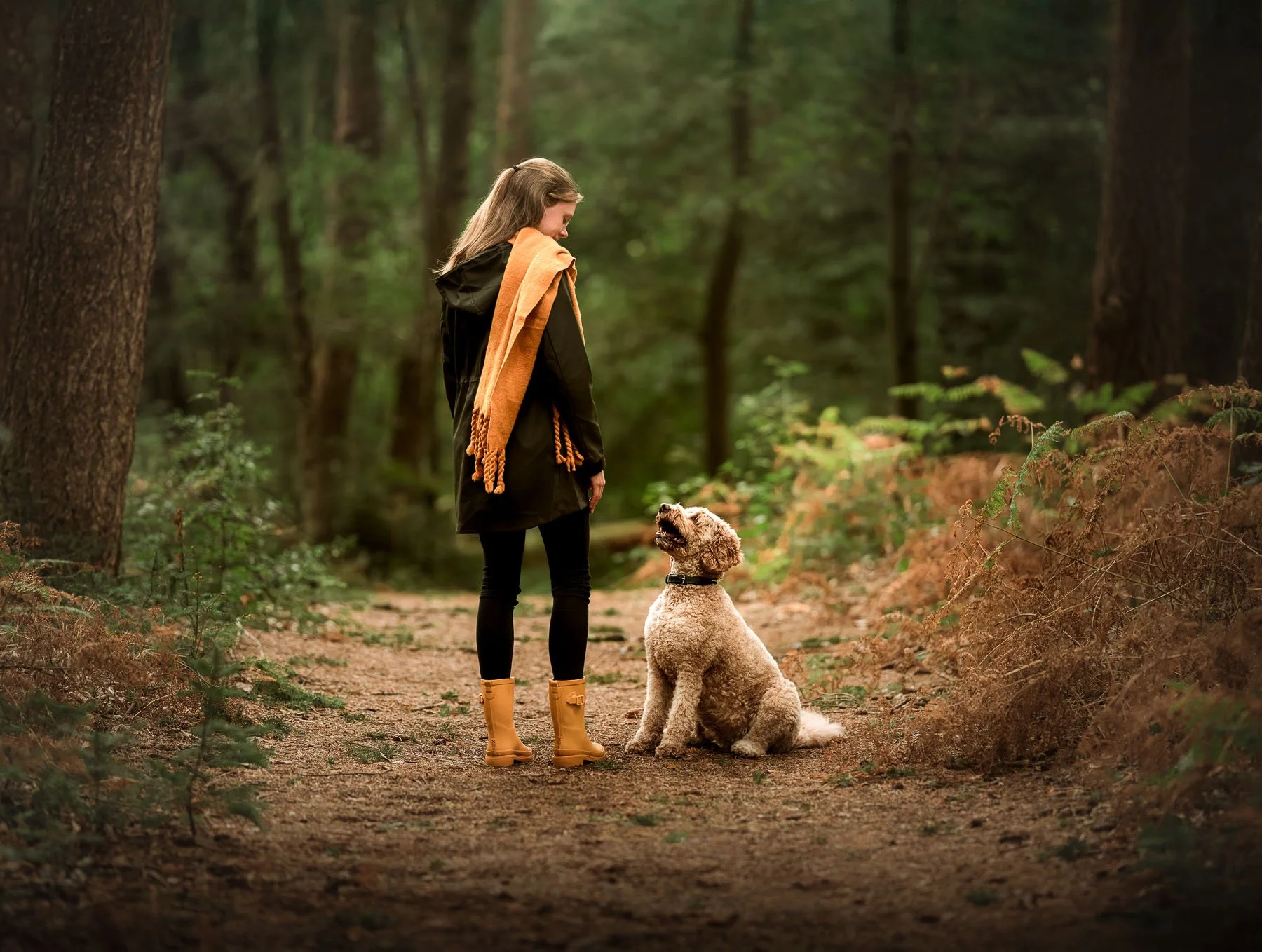 Gestylde vs spontane honden fotoshoot? Wat past bij jou en je hond?