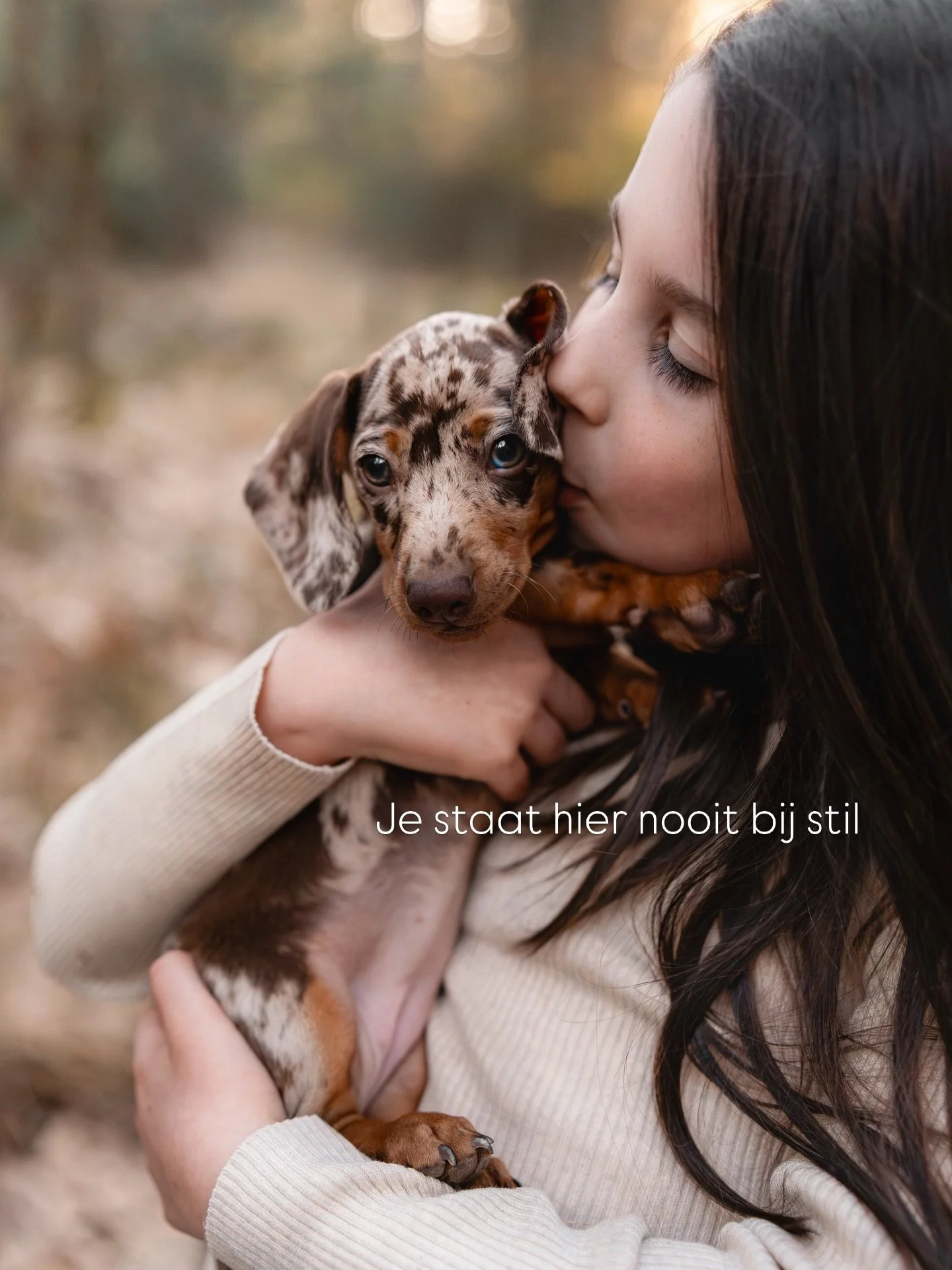 Bella and Pippa 🤍✨

&bull;Puppy fotoshoot Eindhoven&bull;

#hondenfotografie #fotograaf #teckel