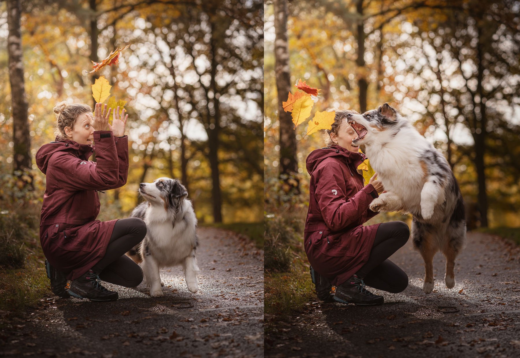 Fotoshoot met je hond in de Maashorst