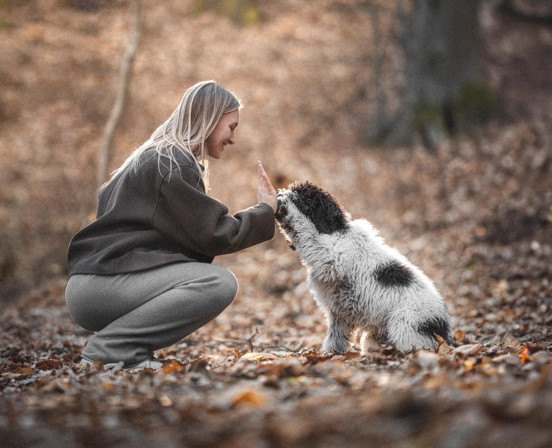 Een vrouw en een hond die samen in een bos spelen. De vrouw knielt en geeft de hond een vlaag, de hond leunt naar haar en lijkt te reageren. Het is herfst met gevallen bladeren op de grond.