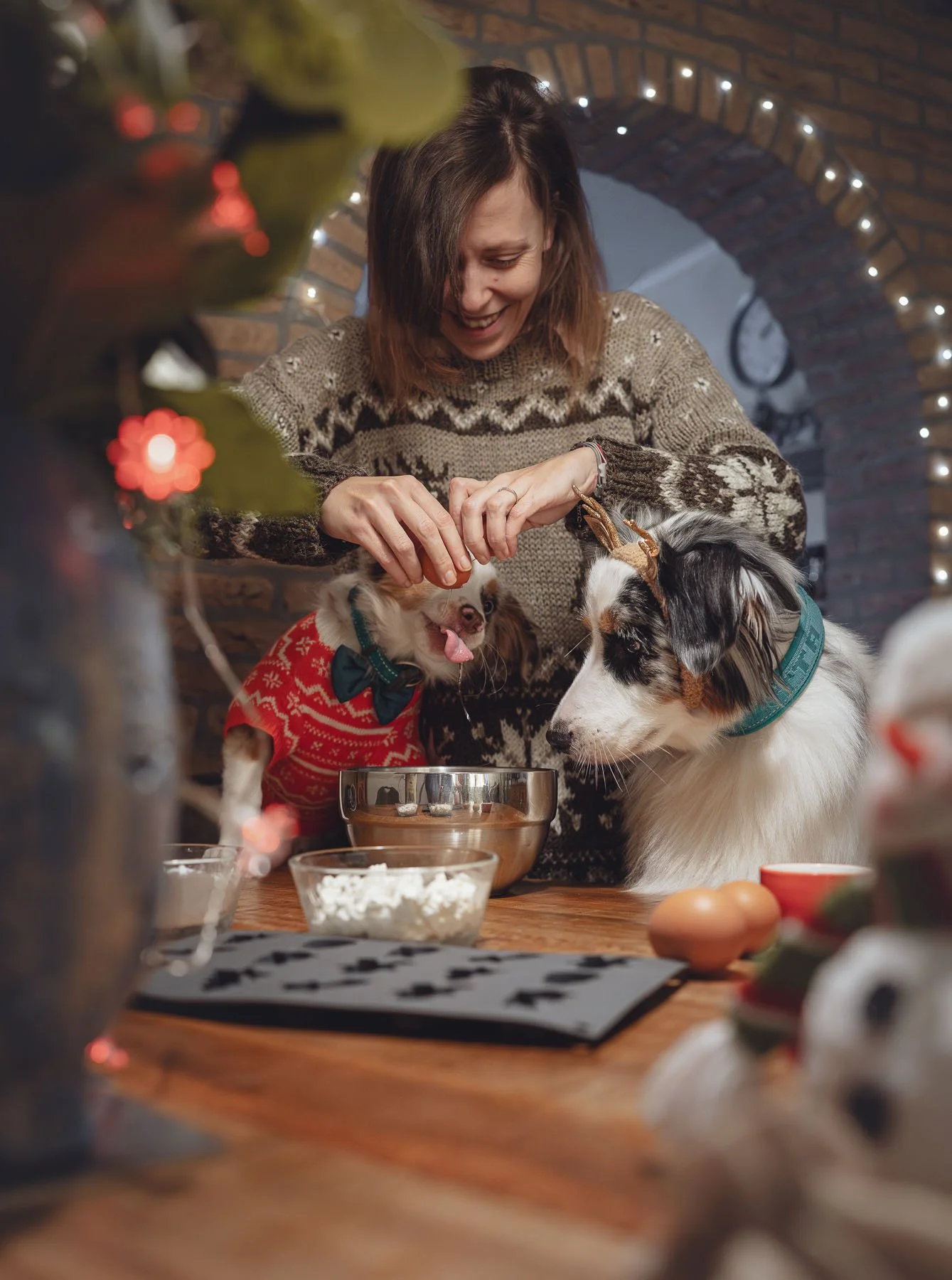 Warm lifestyle dog photography featuring a cozy kitchen baking scene with dogs and owner.
