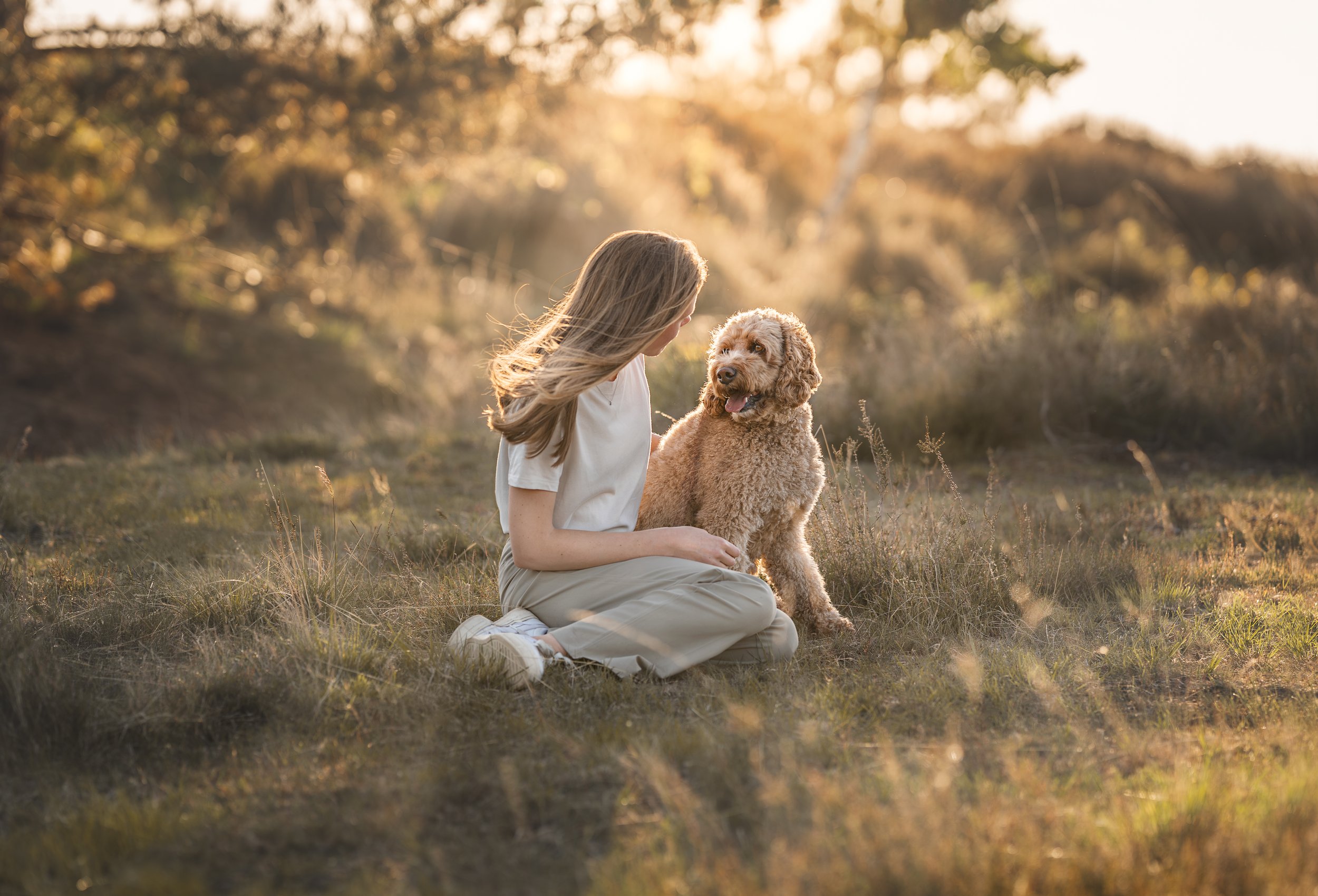 Een vrouw zit op het gras met een krulharige hond tijdens zonsondergang in een natuurlijke buitenomgeving.