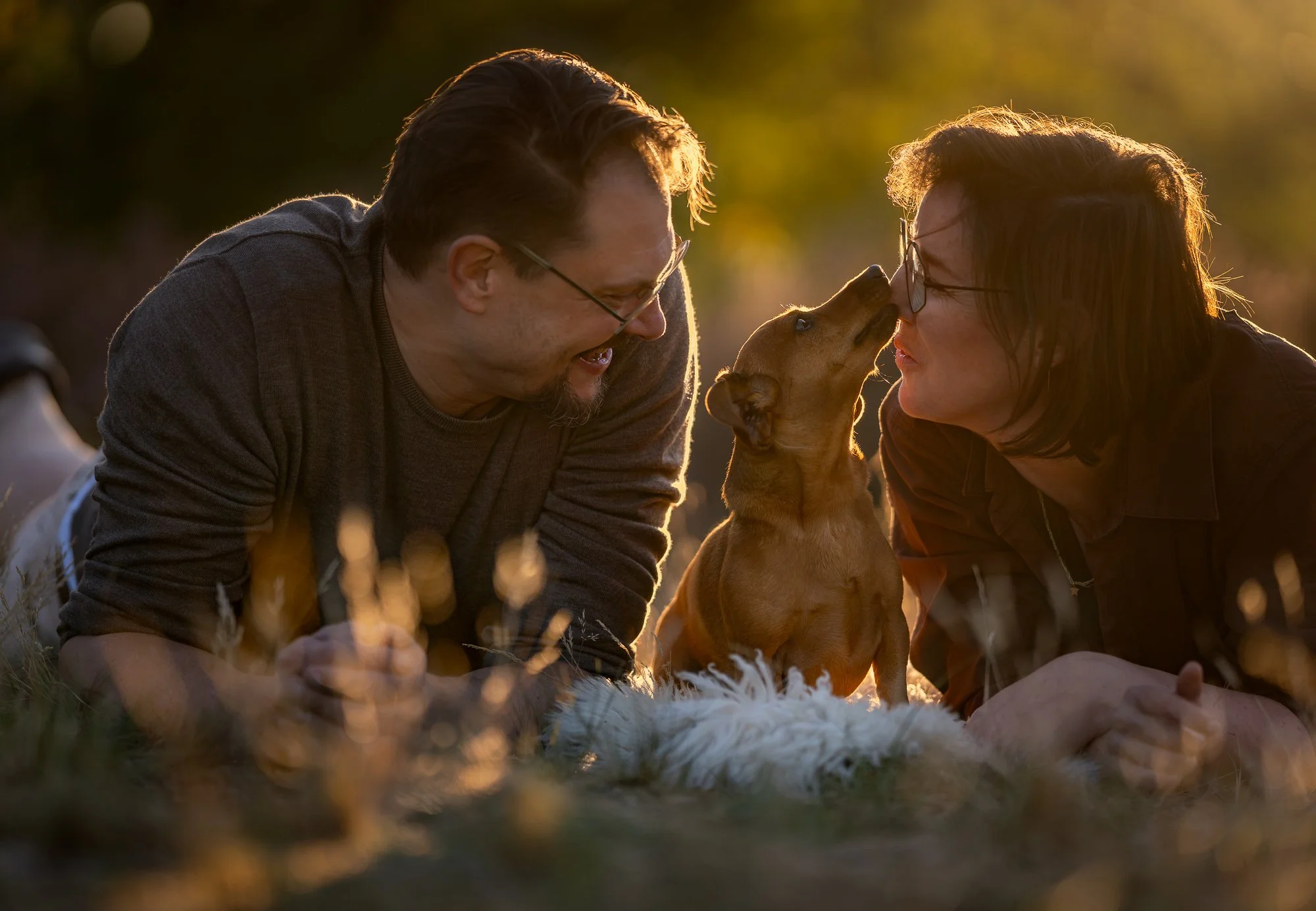 Professionele hondenfotografie van teckel met twee eigenaren in de duinen bij zonsondergang