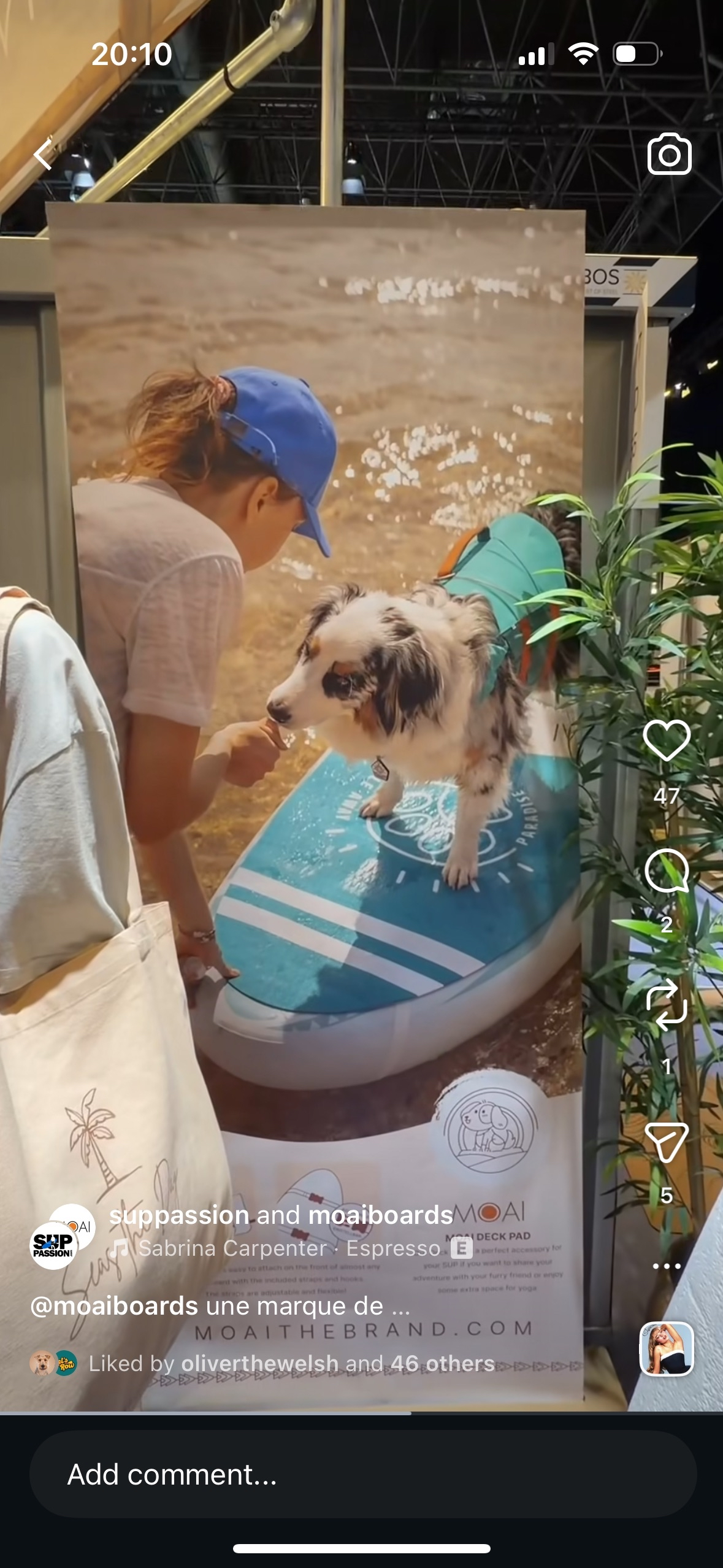 A person wearing a blue cap and a dog wearing a blue and orange life vest are on a hoverboard with a beach background. The hoverboard has a blue and white wave design.