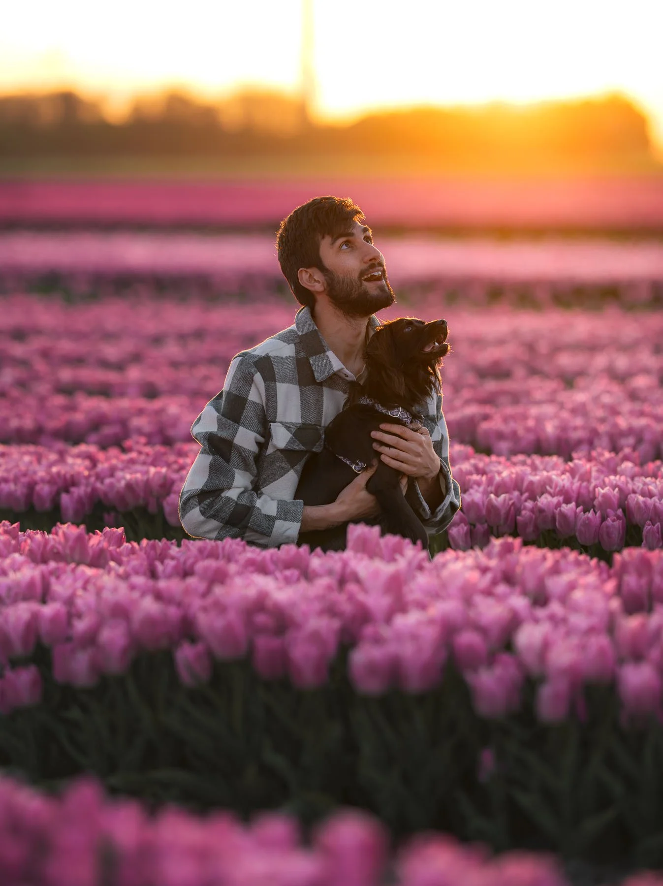 Man met een hond in een veld met roze bloemen tijdens zonsondergang.