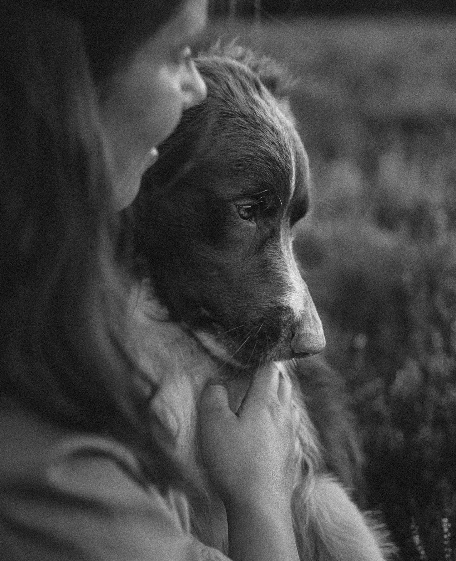 Close-up zwart-wit foto van een persoon die een hond knuffelt, met de focus op het gezicht van de hond.