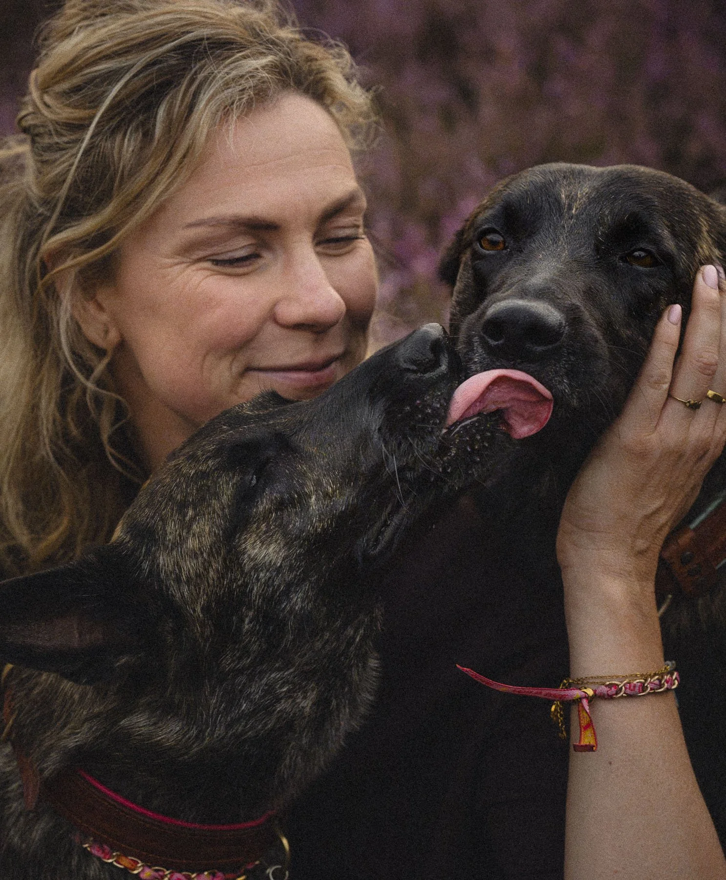band-tussen-honden-en-eigenaar-closeup-detail-minimalistic-foto.jpg