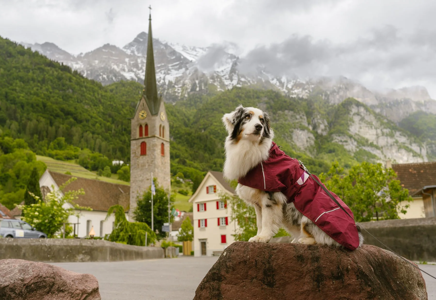 Een Australian Shepherd-hond met een rood jasje zittend op een rots in een dorp met een kerktoren, groene bergen en besneeuwde bergen op de achtergrond.