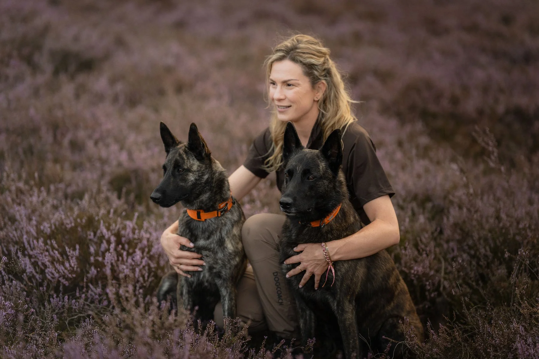 fotoshoot-met-werk-honden-in-heide.jpg
