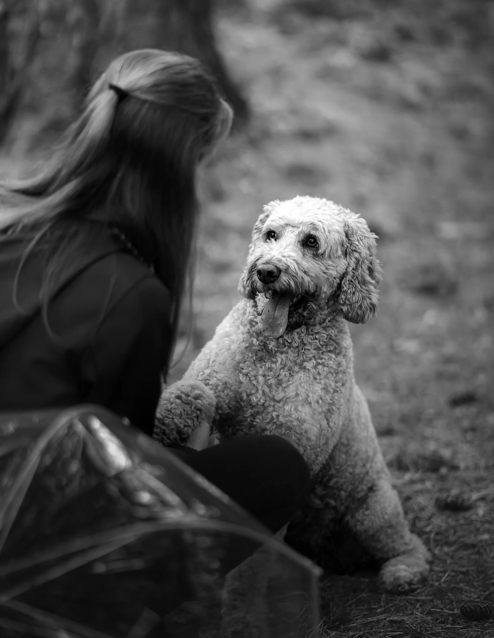 Zwart-wit hondenfotoshoot van een hond met zijn baasje in een natuurlijke setting, waarbij de hond een poot geeft tijdens een lifestyle fotoshoot in Nederland.