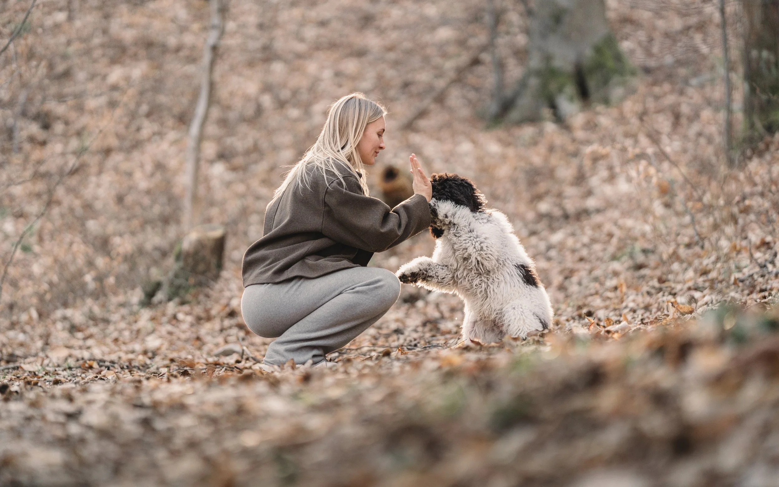 actie moment vrouw en hond high five in bos met herfstbladeren