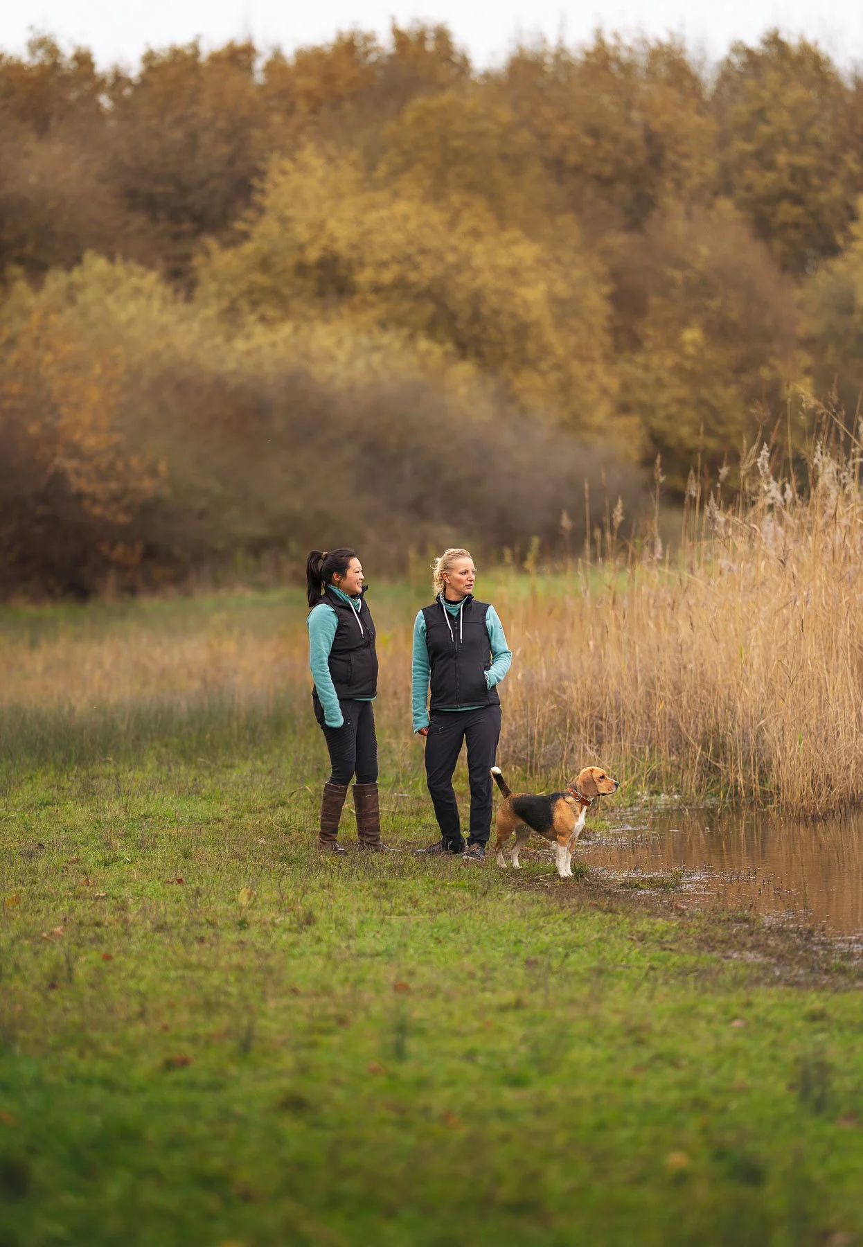 Two women and a dog walking along a lakeshore during fall with trees in the background.