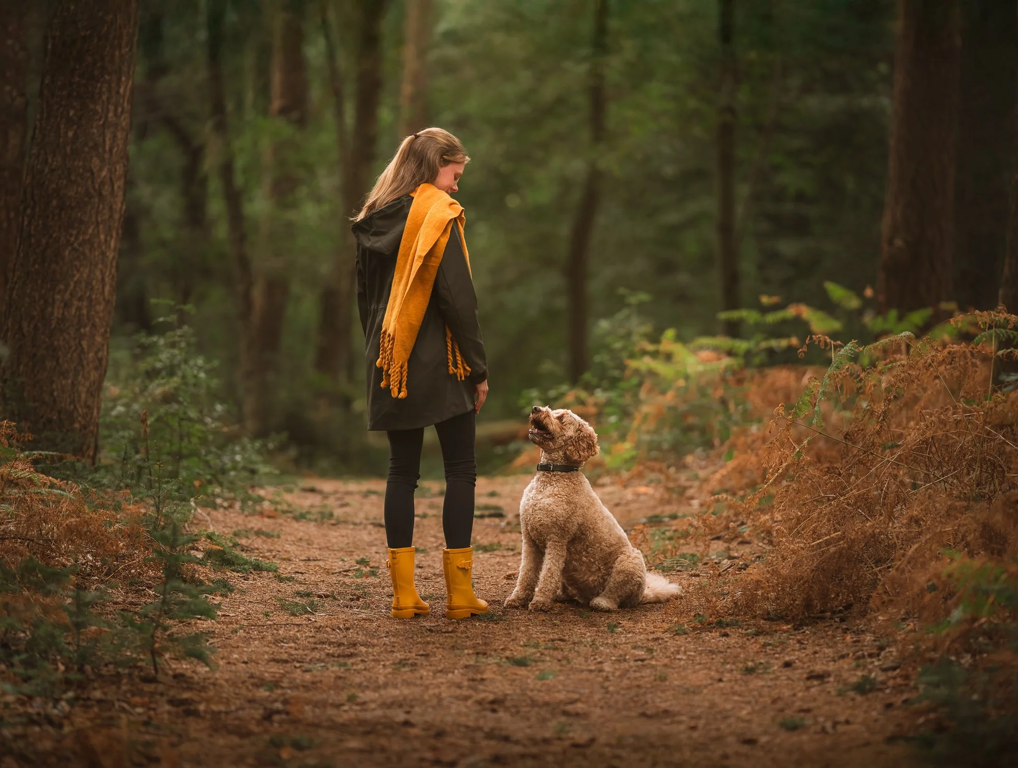 baasje-hond-band-hondenfotografie