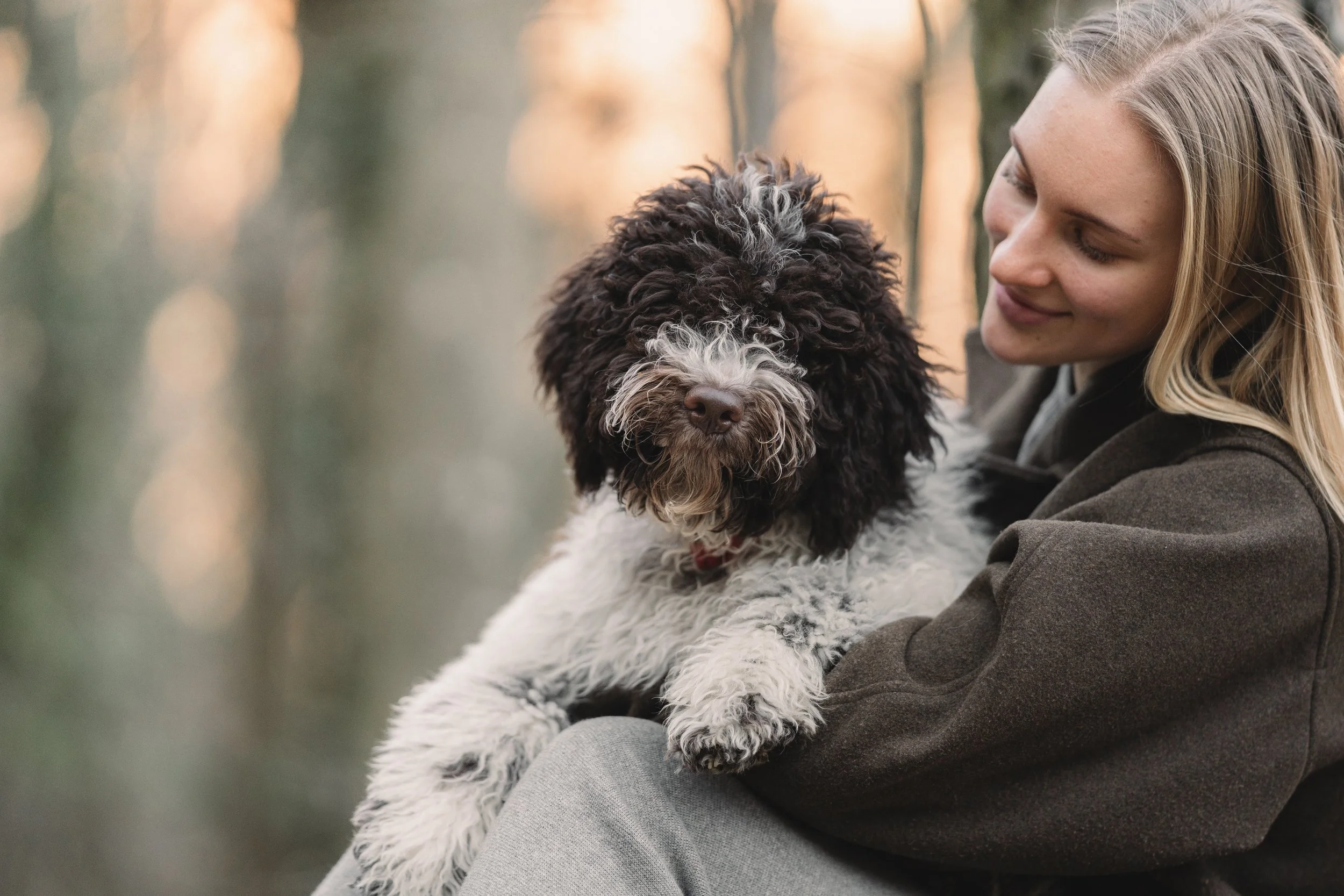 vrouw houdt zwart witte krulhond vast buiten bij zonsondergang met zachte achtergrond