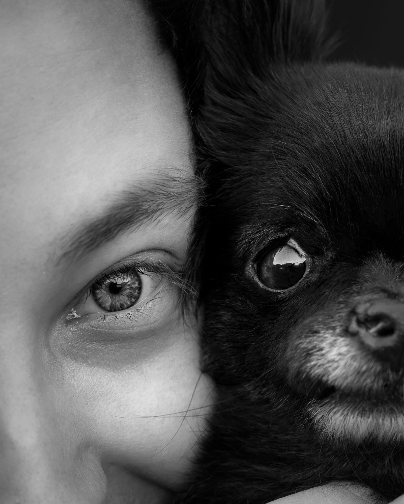Close-up van een gezicht met een zichtbaar oog dat het gezicht van een kleine hond met donkere vacht en grote ogen aanraakt, in zwart-wit.